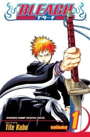 Book Summary Bleach, Vol. 1