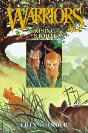 Book Summary Rising Storm