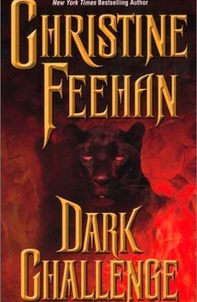 Book Summary Dark Challenge