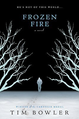 Book Summary Frozen Fire