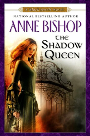Book Summary The Shadow Queen