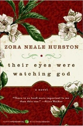 Book Summary Their Eyes Were Watching God