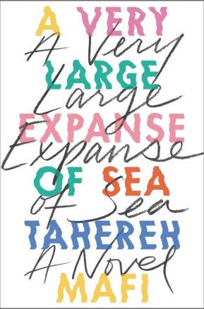 Book Summary A Very Large Expanse of Sea