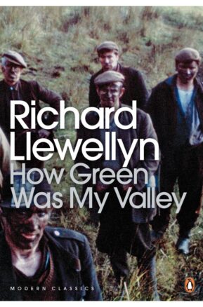 Book Summary How Green Was My Valley