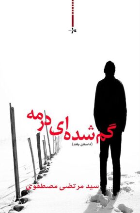 Book Summary گم شده ای در مه