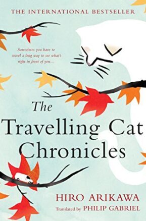 Book Summary The Travelling Cat Chronicles