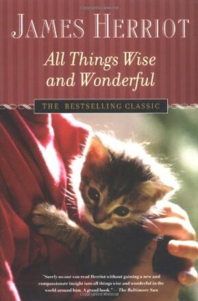 Book Summary All Things Wise and Wonderful