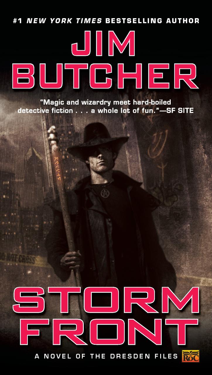 Book Summary Storm Front