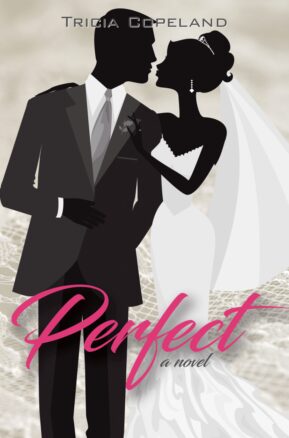 Book Summary Perfect