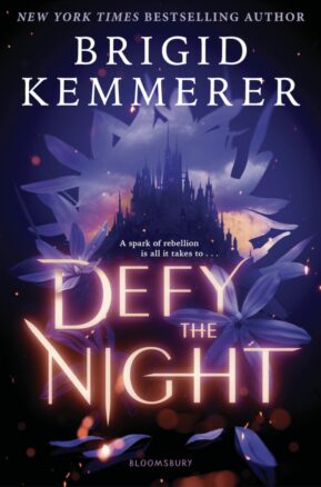 Book Summary Defy the Night