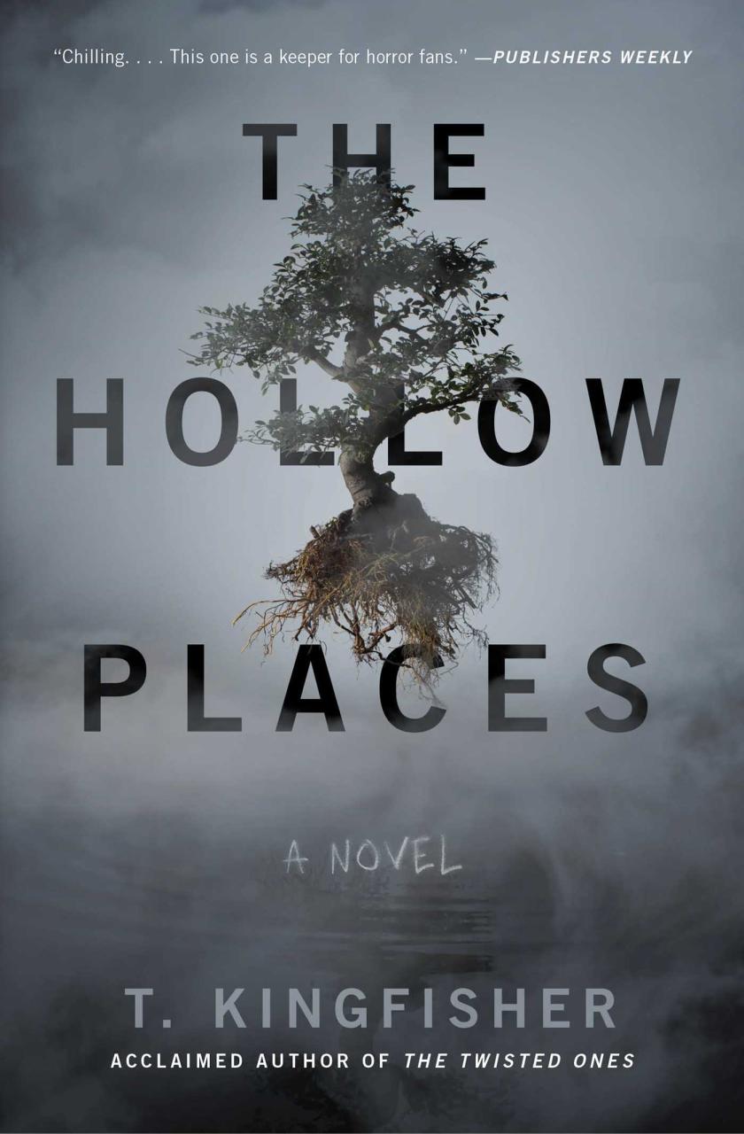 Book Summary The Hollow Places