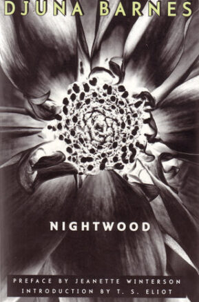 Book Summary Nightwood
