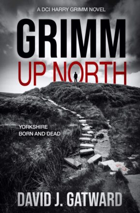 Book Summary Grimm Up North