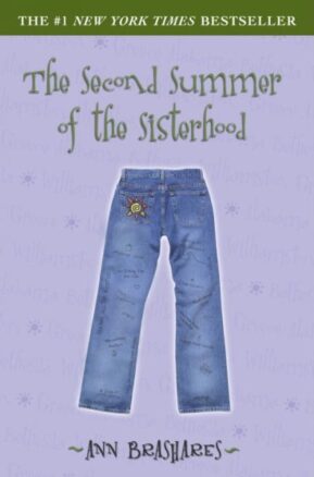 Book Summary The Second Summer of the Sisterhood