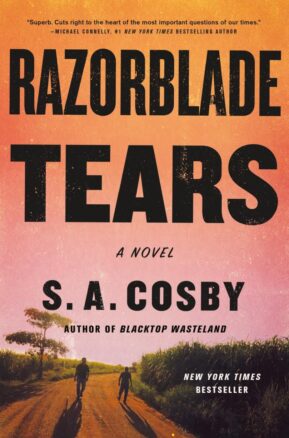 Book Summary Razorblade Tears