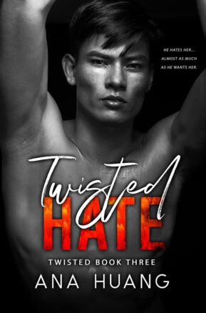 Book Summary Twisted Hate