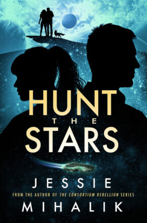 Book Summary Hunt the Stars