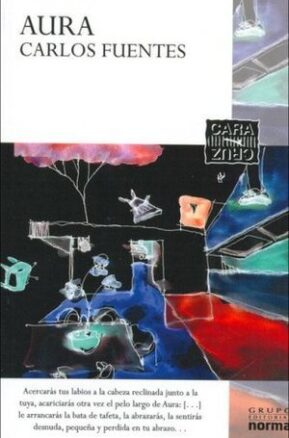 Book Summary Aura