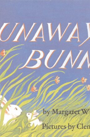 Book Summary The Runaway Bunny