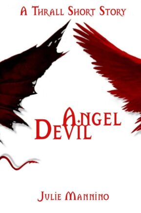 Book Summary Angel Devil