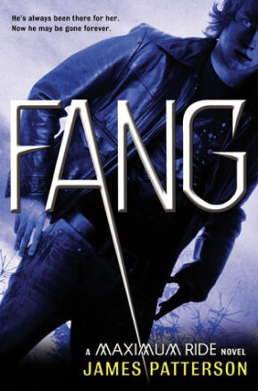 Book Summary Fang