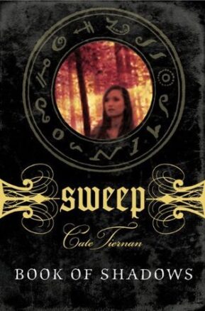 Book Summary Book of Shadows