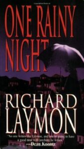 Book Summary One Rainy Night