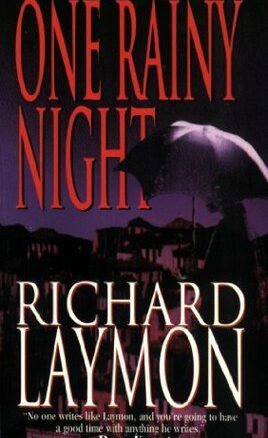 Book Summary One Rainy Night