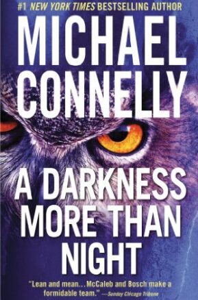 Book Summary A Darkness More Than Night