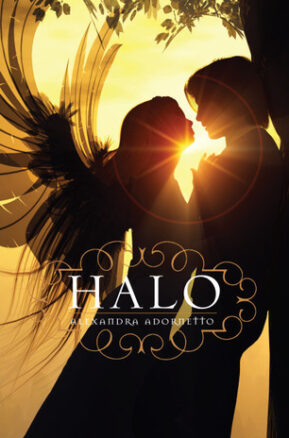 Book Summary Halo