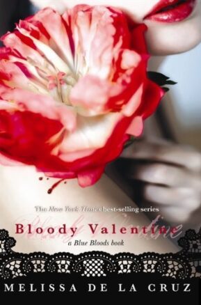 Book Summary Bloody Valentine