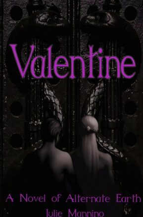 Book Summary Valentine