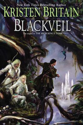 Book Summary Blackveil