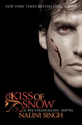 Book Summary Kiss of Snow