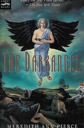 Book Summary The Darkangel