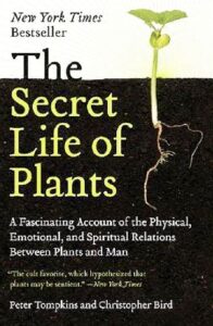 Book Summary The Secret Life of Plants: A Fascinating Account of the Physical, Emotional and Spiritual Relations Between Plants and Man