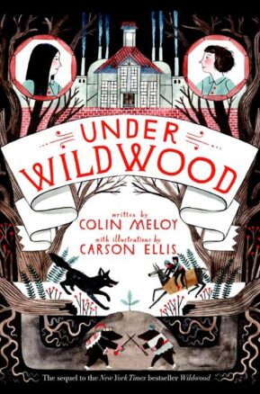 Book Summary Under Wildwood