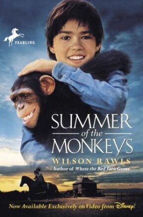 Book Summary Summer of the Monkeys