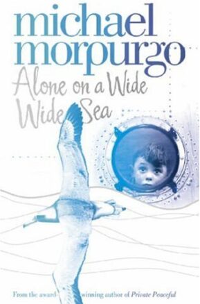 Book Summary Alone on a Wide Wide Sea