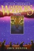 Book Summary Dawn