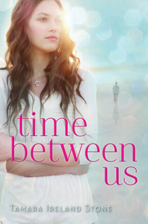 Book Summary Time Between Us