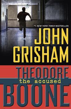 Book Summary The Accused