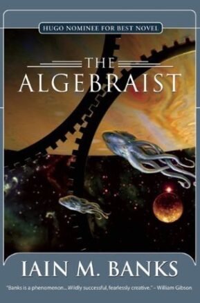 Book Summary The Algebraist