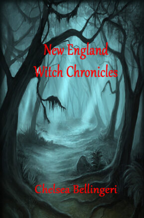 Book Summary New England Witch Chronicles