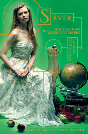 Book Summary Sever