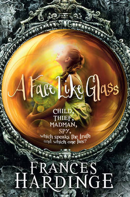 Book Summary A Face Like Glass