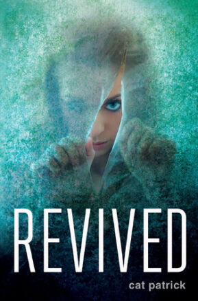 Book Summary Revived