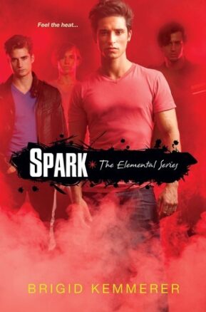 Book Summary Spark
