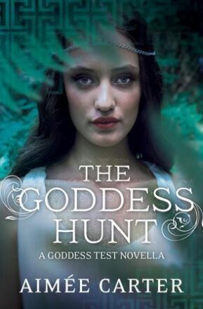 Book Summary The Goddess Hunt