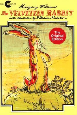 Book Summary The Velveteen Rabbit